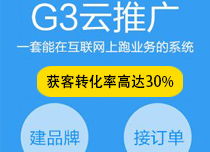 平湖企業品牌網絡營銷方案的核心要點與網絡技術開發