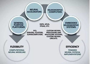 神經(jīng)網(wǎng)絡(luò) 技術(shù)發(fā)展、未來挑戰(zhàn)與網(wǎng)絡(luò)技術(shù)開發(fā)的交匯點